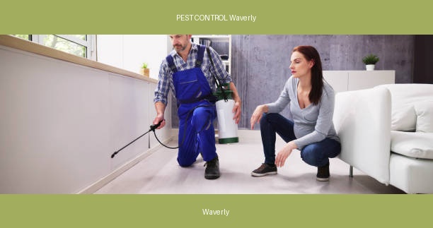 PEST CONTROL Waverly